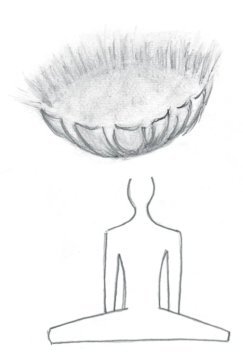 A dish-shaped lotus bowl hovering above a seated meditator — the crown receiving