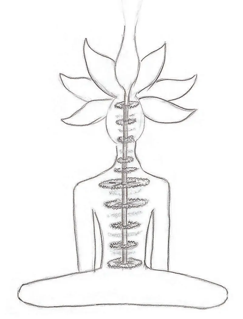 The Sahasrar lotus opened above the crown, the sushumna threading every chakra